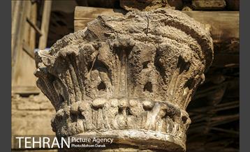 تاریخ رها شده؛ باغ کیهانی 10