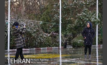 بارش برف در شمال تهران 6