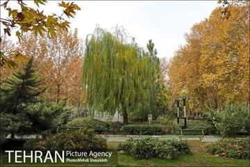 بوستان اندیشه(شهید منفرد نیاکی) 7