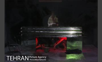 نمایش موی سیاه خرس زخمی 13