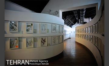 موزه گیاه شناسی دارآباد 9