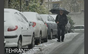 بارش نخستین برف پاییزی تهران 45