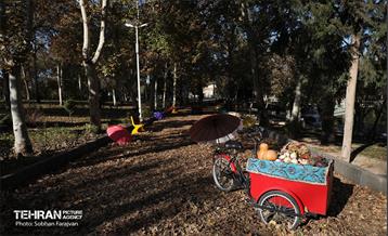 گذر پاییزی بوستان بعثت 29