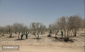 اینجا کارگاهه؛ پروژه بام ری 56