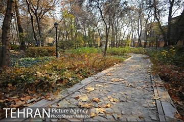 پاییز باغ ایرانی 31
