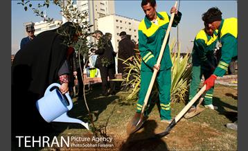 آیین درختکاری در منطقه فرهنگی و گردشگری عباس آباد  21