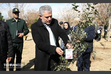 آیین پدران آسمانی  1