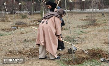 کاشت نهال یادمان تشکل ها در بوستان سمن ها 1