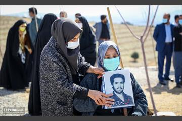 نهال کاری شهردار تهران و رئیس جمهور به مناسبت روز درختکاری 4