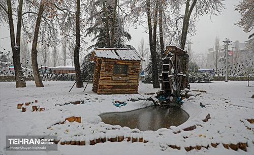 بارش نخستین برف زمستانی در تهران 12