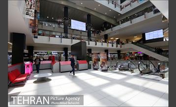 روز هفتم سی و هفتمین جشنواره جهانی فیلم فجر 1