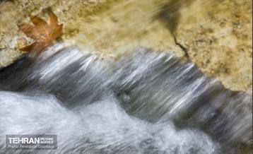 سمفونی رنگ های پاییزی - کاخ سعدآباد 36