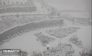 بارش برف زمستانی در تهران 18