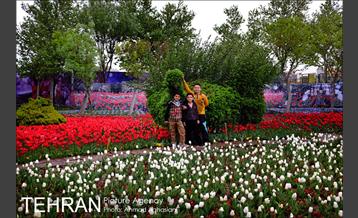 جشنواره لاله‌ها در بوستان زندگی محله هرندی 1