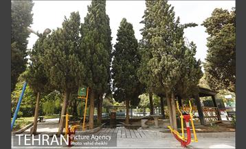 بوستان سنگی 19