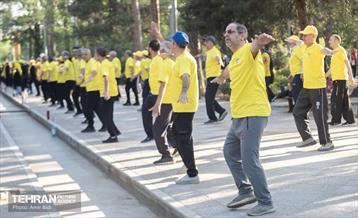 نشاط و سلامت در منطقه14 31