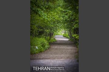 باغ گیاه‌شناسی ملی ایران 22