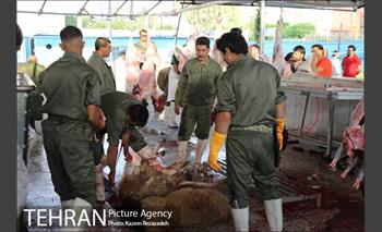 عرضه دام زنده در منطقه 19 شهرداری تهران 4