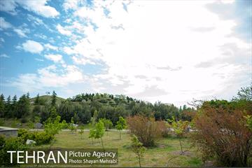 باغ گیاه‌شناسی ملی ایران 8