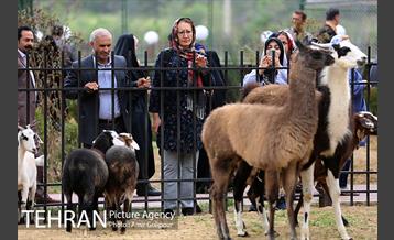 آیین بهره برداری باغ راز هستی 5
