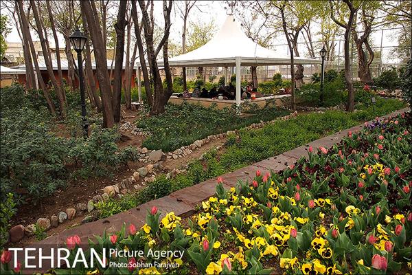 روز طبیعت بارانی در باغ ایرانی 1