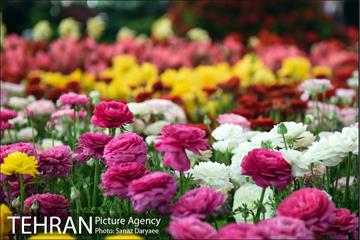 آیین افتتاح شانزدهمین نمایشگاه گل و گیاه تهران با حضور سرپرست شهرداری تهران 31