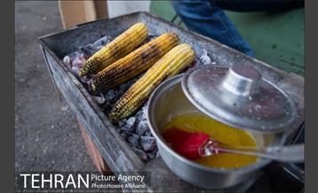 شیر بلال تابستان 22