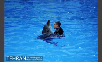 دلفیناریوم برج میلاد 9