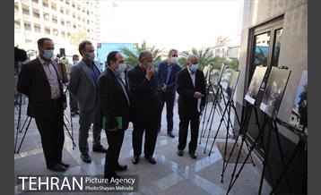 آیین نکوداشت درختان بالای صد سال تهران 15