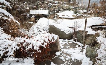 روز برفی در آبشار تهران 17