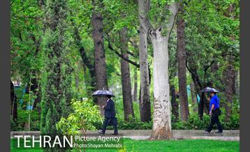 باران بهاری در تهران - 2 5
