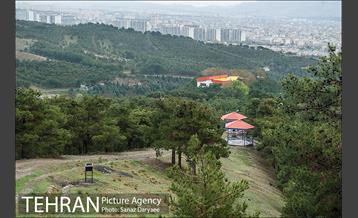 طبیعت بهاری پارک جنگلی لویزان‎  13