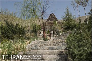 آبشار تهران 8
