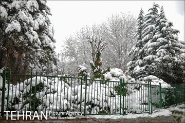برف زمستانی پارک جمشیدیه 18