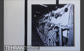 باغ موزه قصر 17