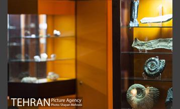 موزه علوم زمین 7