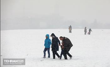 بارش برف در تهران 15
