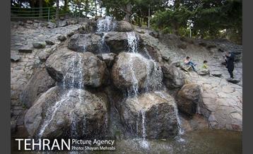 بوستان جمشیدیه 8
