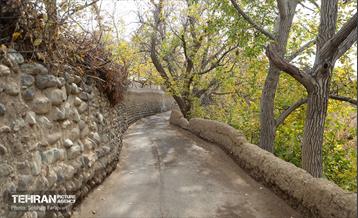 طبیعت پاییزی کوچه باغ‌های محله کن 8