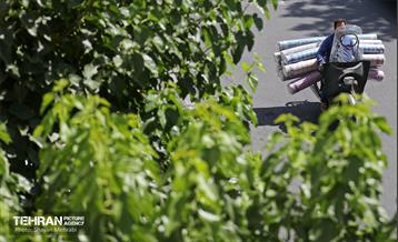 بی قانونی؛ بار های نامتعارف 47