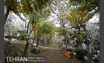 بارش برف پاییزی در بوستان طالقانی 33