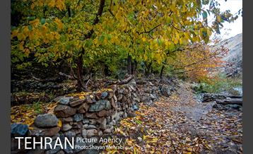 طبیعت پاییزی روستای سنگان 25
