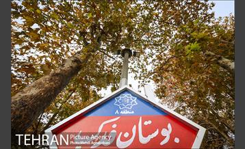 سمفونی برگ های پاییزی 9