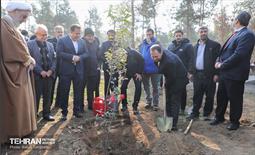 آیین کاشت ۱۰۰۰ نهال به مناسبت میلاد با سعادت حضرت علی (ع) 18