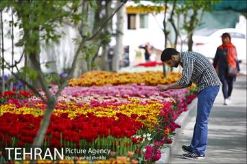 پیاده راه لاله برای مادران 11