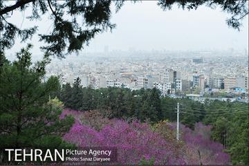 طبیعت بهاری بوستان سرخه حصار‎ 13