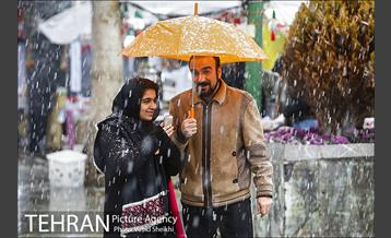 بارش برف در شمال تهران 15