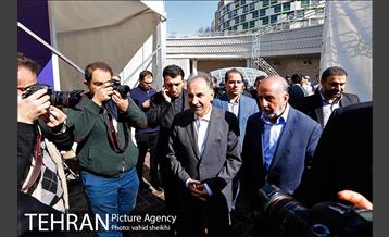 مراسم ساماندهی و احیای درختان چنار خیابان ولیعصر(عج) 25