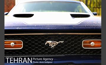 کارناوال ماشین های کلاسیک 2