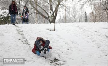 بارش برف در تهران 30